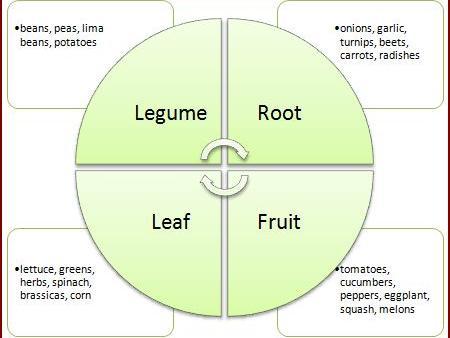 Simple Rotation Why it s Important Most vegetables in the same family usually fall prey to the same types of problems.