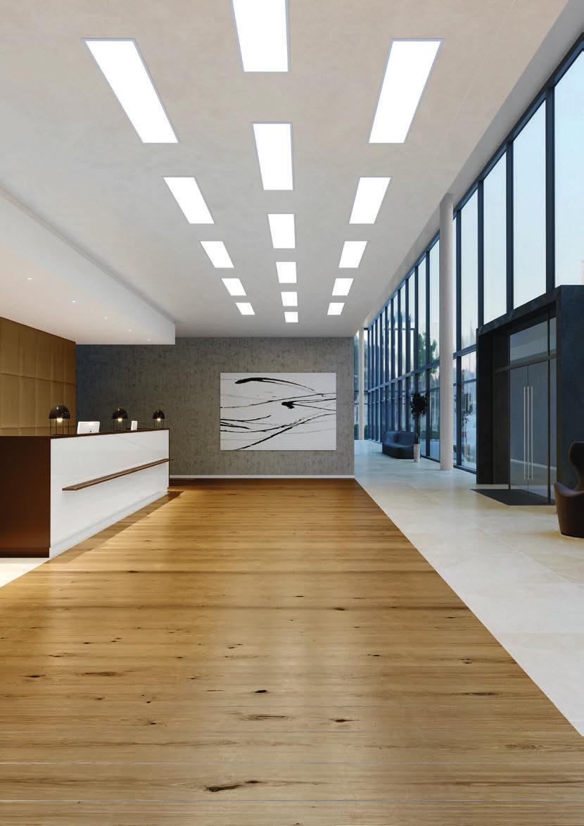 PANEL WIDE-AREA ILLUMINATION Recessed lighting for grid ceiling structures Very homogeneous light, UGR < 19 versions available according
