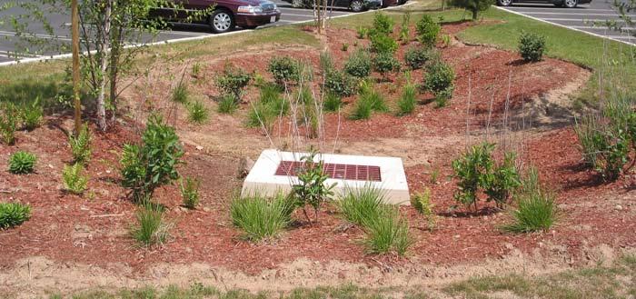 designed with drainage holes that allow infiltration. As with all landscape features, tree box filters require routine maintenance.