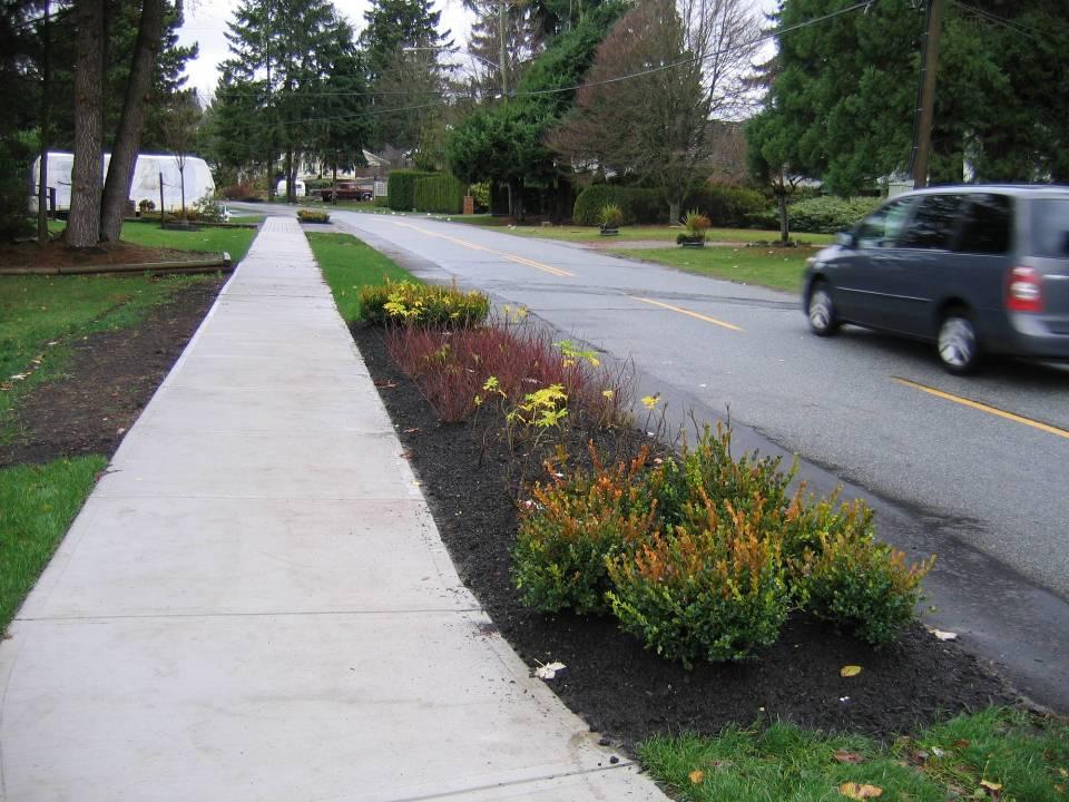 Knight Drive boulevard plantings: Discourage