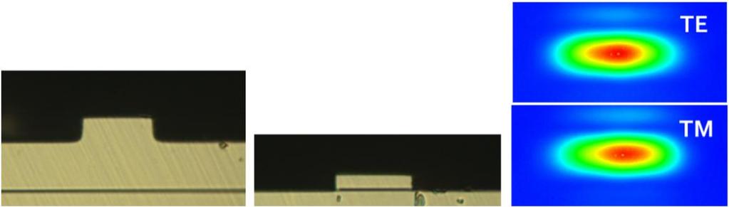 µm SOI to SSMF arrays 3 µm SOI chip