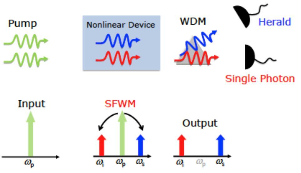 Single-photon detectors and nonlinear PICs for quantum