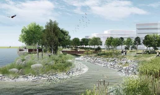 Benches & Water Fountains within Park 2 Tidal Island adds Habitat Diversity Throughout Site 3