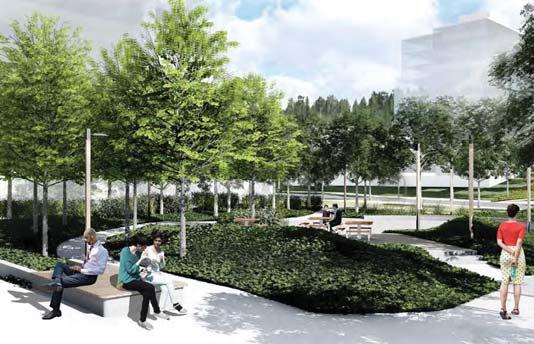 Park provides tranquillity and ample space for community activities such as tai chi 3 View approaching