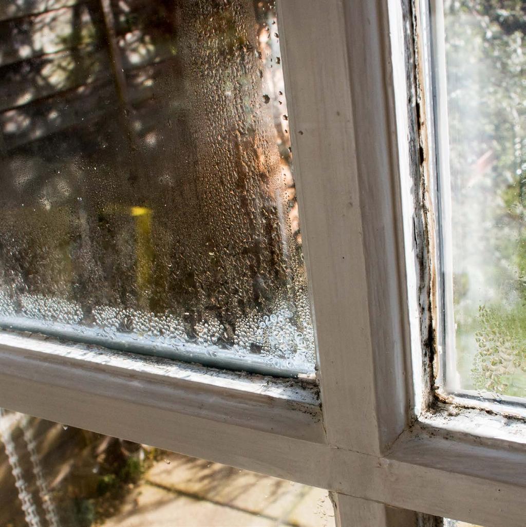WHAT IS EXCESS HUMIDITY IN YOUR HOME?
