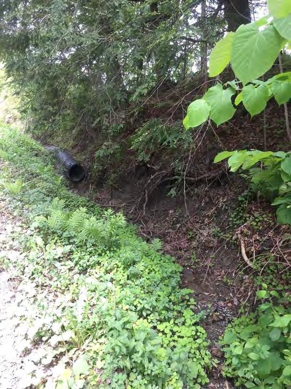 Ditches should be formalized on the west side of the road with check dams and turnouts. Significant erosion noted.