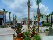 Pier Park Community Redevelopment Area In 2001, the City entered into an agreement with the Panama City Beach