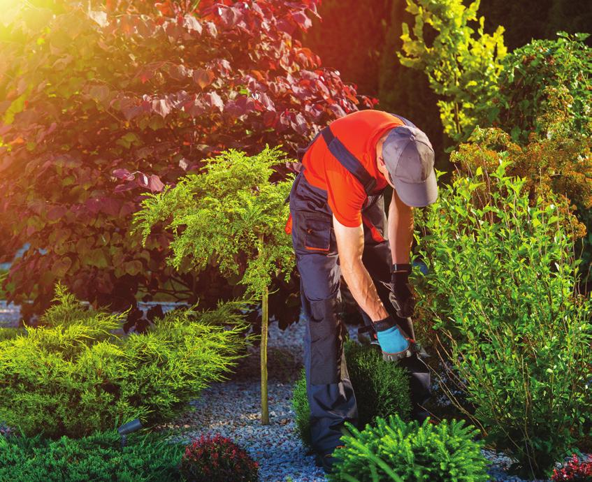 Tapping in the call of nature Getting outside and tending to nature and your landscape is often the best way to get ready for spring.