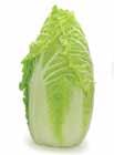 Fact Lettuce varieties can be put into four main groups: romaine, butterhead, crisphead, and looseleaf. Each group has its own growth and taste characteristics.