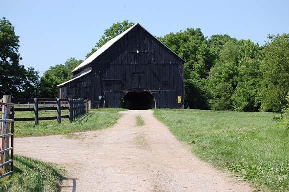 Tobacco Barn with 10 stalls Dirt floor Attached hay shed 4 fields 2