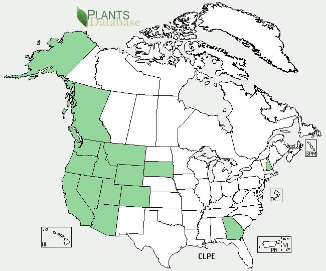 Geographical range http://plants.usda.