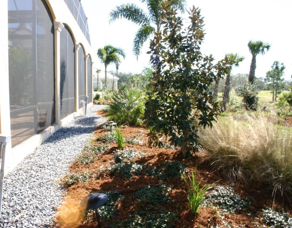 Florida-Friendly Landscaping Principles #1: Right Plant, Right Place Requires minimal supplemental water, fertilizer, or pesticide