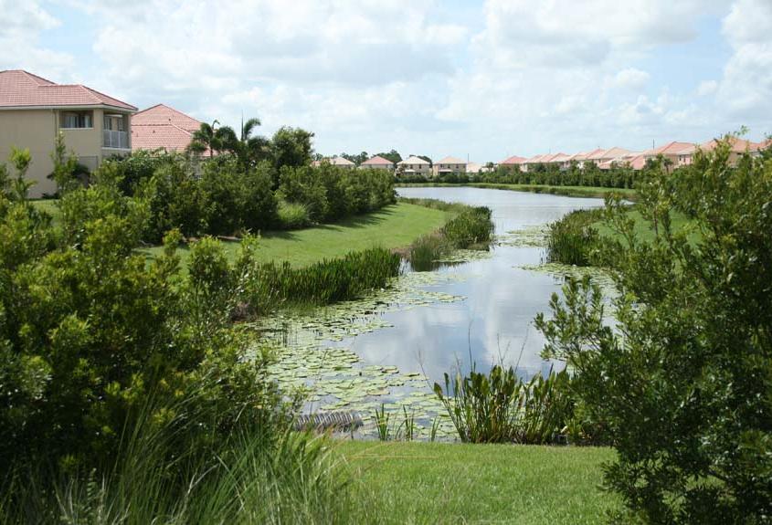 Florida-Friendly Landscaping Principles #3: Fertilize