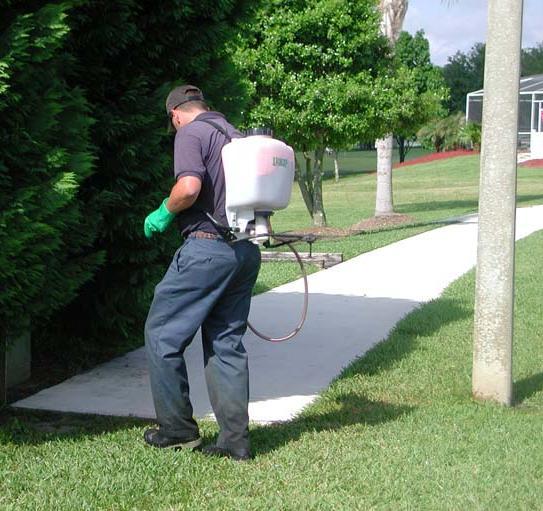 Florida-Friendly Landscaping Principles Maintenance is the Key to keeping a Florida-Friendly Landscape,