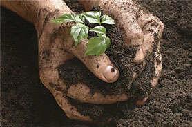 health. A healthy soil is productive, sustainable and profitable.