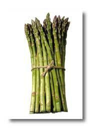 Asparagus Asparagus is a hardy perennial. It is the only common vegetable that grows wild along roadsides and railroad tracks over a large part of the country.