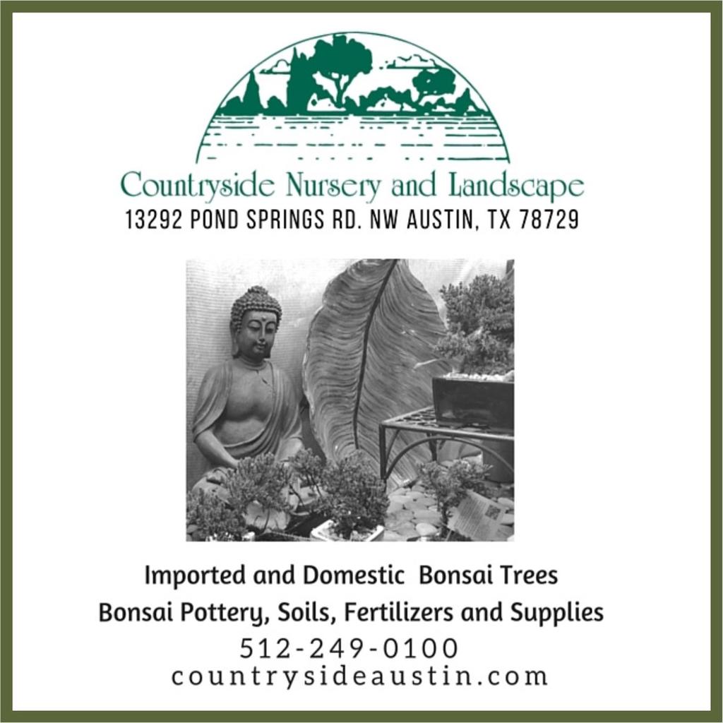 There is no Austin Bonsai Society meeting for the month of December. We will resume our normal schedule in January with a lecture on pines, but more on that in next months newsletter.