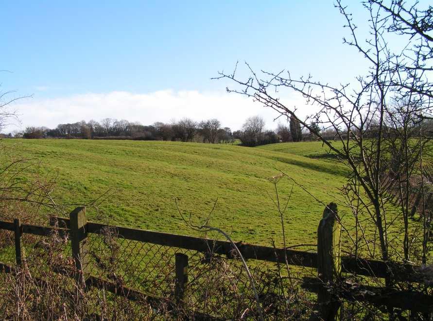 Figure 1: Ridge and Furrow earthworks to the east of the village of Carr in the Carr Strip Enclosures character area.