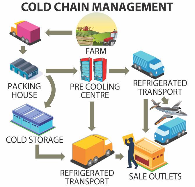 Maintaining The Cold Chain For Perishables Cold Chain All the critical steps and processes