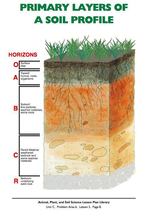 Answer the following questions: 1. Draw a soil profile and label each of the three major horizons. (use your packet) 2.