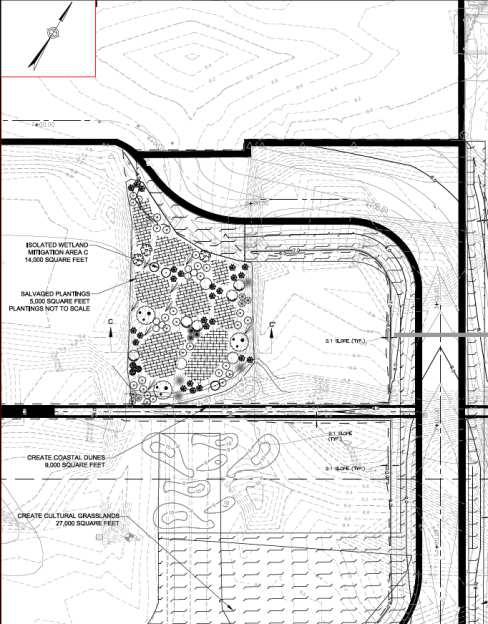 Plans, Sheet 12 On-Site Mitigation Restoration Area C: 14,000
