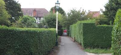 Trees and Hedges It is sometimes necessary for trees to be removed and hedges to be re-planted, but these changes are carefully controlled in Brentham as green boundaries and mature trees are part of