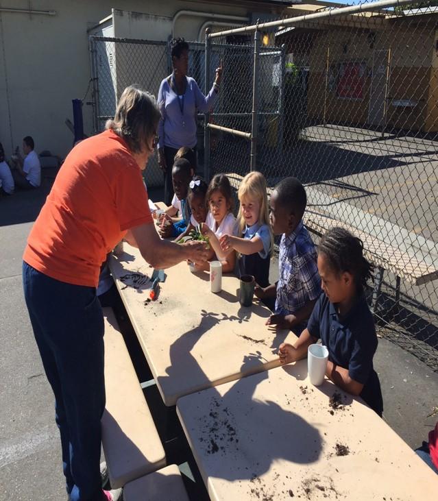 LACSS and Baldwin Hills Elementary School For the last two years, LACSS members have generously donated many succulent cuttings to the Skirball Planting project.