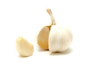 Once the garlic cloves go through the cold period of cold days, they will split into several new cloves and then form bulbs. It takes about 6 months of cold days from planting to harvest.
