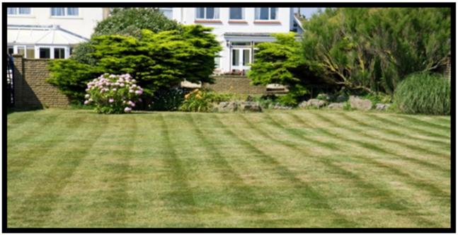 Fall Lawn Maintenance Tips By: Luke Jacobs, Kentucky Master Gardener Fall is the perfect time for working on your lawn. The end of summer does not mean the end of lawn care.