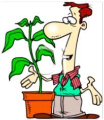 Kentucky Master Gardener Training Program 2019 Are you an enthusiastic gardener? Have a green thumb? Or even a brown thumb? Enjoy talking about gardening?