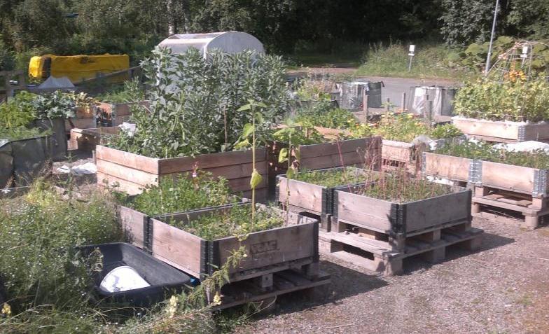 Day Urban agriculture