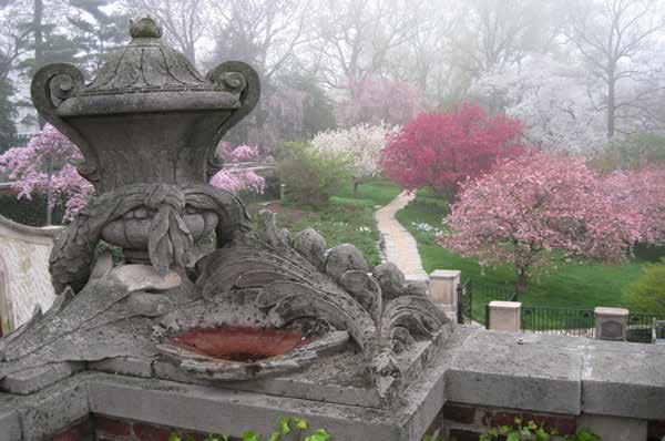 The historic garden at Dumbarton Oaks, closed for the past several months for preservation and maintenance work, reopens to the public on March 15, 2018, every day from 2