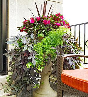 Container Garden Design Basics By applying the principles of color blending and mixing leaf textures and plant shapes, you can follow one simple