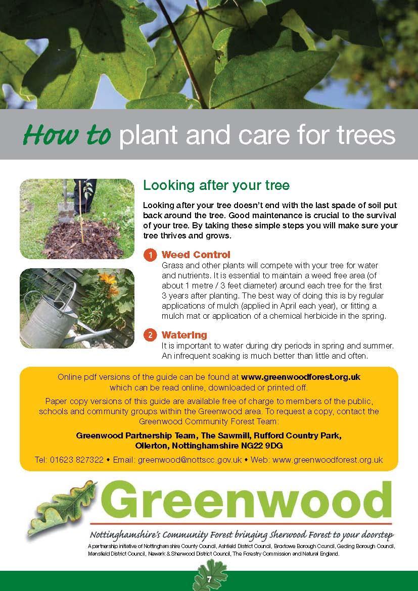 Looking after your tree Looking after your tree doesn t end with the last spade of soil put back around the roots. Good maintenance is crucial to the survival of your tree.