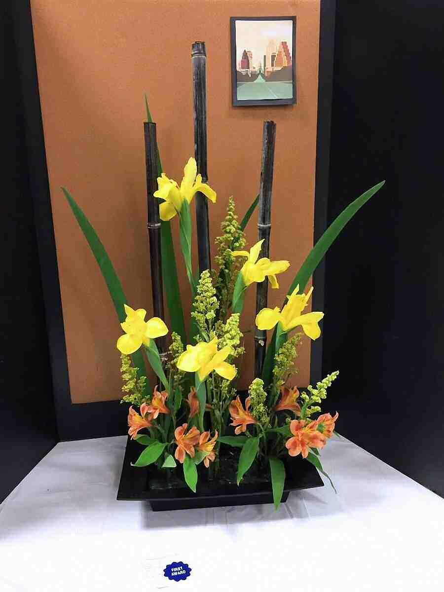 sheets for the annual spring Iris Show on April 8, 2017.