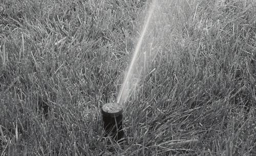 Step 3: Survey Your Irrigation System (continued) Sprinkler System Terms to Know Application rate Also known as precipitation rate.