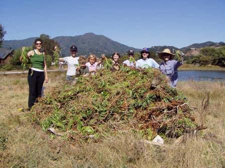 Girl Scouts Save The Bay (Southern Marin Troop) and