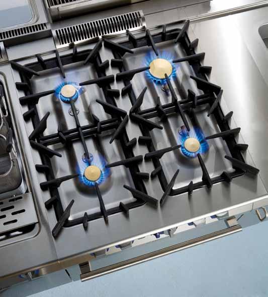 Gas Burners Maximum level power, sturdiness, efficiency and hygiene are the features that distinguish the Gas Burners in the Zanussi Professional Evo900.