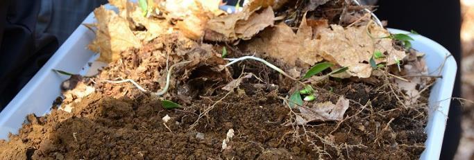 7.0 The Biological Nature of Soils Healthy soils consist of a complementary blend of minerals, rocks, water, air, and organic matter.