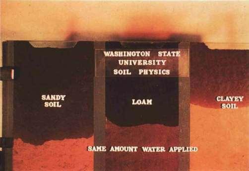 Soil Texture & Water Storage Equal volume of water & soil Sandy soils have less pore space than silt or clay soils Water penetrates more rapidly and deeper in sandy soils than silt or clay soils