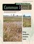 Common Reed. Noxious Weeds of Nebraska. Biology Identification Distribution Control