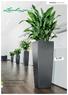 PREMIUM COLLECTION ALL NEW! CUBICO ALTO inch. For Beautiful Plantscaping. Self-Watering Planters