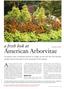 American Arborvitae. country to get a sense of just how adaptable American arborvitaes are, and which cultivars are most successful in other regions.