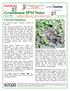 Greenhouse IPM Notes. Northeast. Current Situation. March 2006 A publication of Rutgers and Cornell Cooperative Extension Vol.