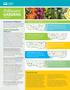 Pollinator Garden Designs (See detailed plans inside.)