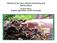 Manual of On-Farm Vermicomposting and Vermiculture. By Glenn Munroe Organic Agriculture Centre of Canada