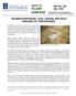 report on PLANT DISEASE HELMINTHOSPORIUM LEAF, CROWN, AND ROOT DISEASES OF TURFGRASSES
