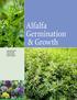 Alfalfa Germination & Growth