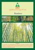 Bamboo Agronomy. Bamboo Cultivation practices in India