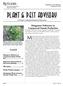 Plant & Pest Advisory